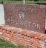 Welcome to Wellington