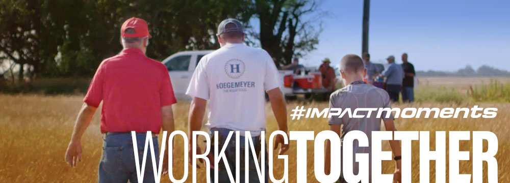 Go online. Upgraded online banking is here.